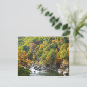 Herbstfarben im Ohiopyle State Park (Stehend Vorderseite)