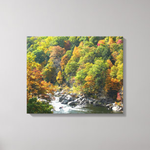 Herbstfarben im Ohiopyle State Park Leinwanddruck