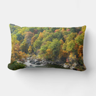Herbstfarben im Ohiopyle State Park Lendenkissen