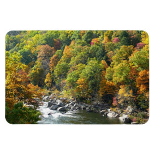 Herbstfarben im Ohiopyle State Park Magnet