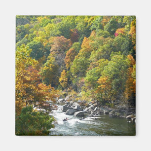 Herbstfarben im Ohiopyle State Park Magnet