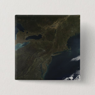 Herbstfarben im östlichen Staaten Button