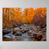 Herbstfarben im Ruby-Gebirge Poster (Vorne)