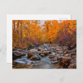 Herbstfarben im Ruby-Gebirge Postkarte (Vorne/Hinten)