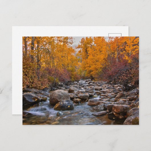 Herbstfarben im Ruby-Gebirge Postkarte (Vorne/Hinten)