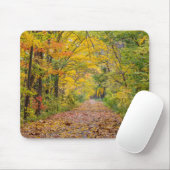 Herbstfarben im Unabhängigkeitspark Staat Mousepad (Mit Mouse)