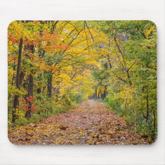 Herbstfarben im Unabhängigkeitspark Staat Mousepad (Vorne)