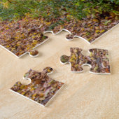 Herbstfarben im Unabhängigkeitspark Staat Puzzle (Seite)