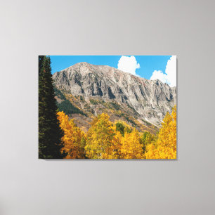 Herbstfarben in Crested Butte, Colorado Leinwanddruck