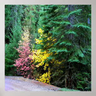 Herbstfarben in den Bergen.... Poster