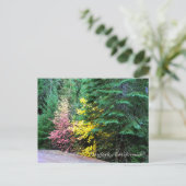 Herbstfarben in den Bergen..... Postkarte (Stehend Vorderseite)