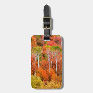 Herbstfarben in den Rocky Mountains, Wyoming, USA Gepäckanhänger