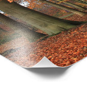 Herbstfarben in der Waldlandschaft Fotodruck (Ecke)