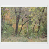 Herbstfarben in einem Wald Geschenkpapier (Flach)