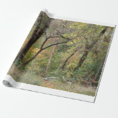Herbstfarben in einem Wald Geschenkpapier (Ungerollt)