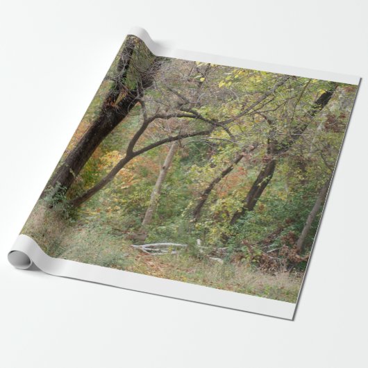 Herbstfarben in einem Wald Geschenkpapier (Ungerollt)