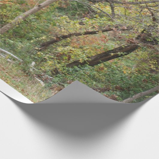 Herbstfarben in einem Wald Geschenkpapier (Ecke)