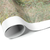 Herbstfarben in einem Wald Geschenkpapier (Rolleneckpunkt)