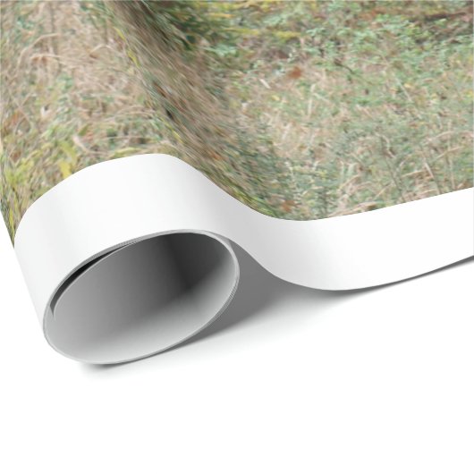 Herbstfarben in einem Wald Geschenkpapier (Rolleneckpunkt)