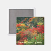 Herbstfarben in Gatineau Park Magnet (Vorderseite/Rückseite)