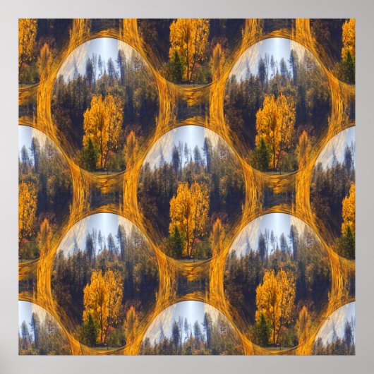 Herbstfarben in Hayfork... Poster (Vorne)