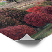 Herbstfarben in Massachusetts  Poster (Ecke)