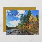 Herbstfarben in New Brunswick Kanada Postkarte (Vorne/Hinten)