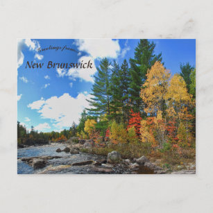 Herbstfarben in New Brunswick Kanada Postkarte