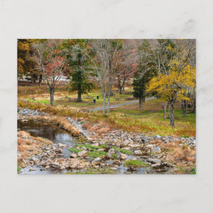 Herbstfarben in Reston Virginia Postkarte