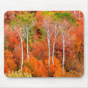 Herbstfarben in Rocky Mountains, Wyoming, USA Mousepad
