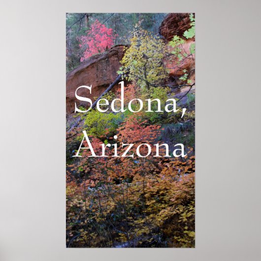 Herbstfarben in Sedona Poster (Vorne)