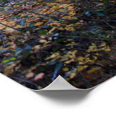 Herbstfarben in Sedona Poster (Ecke)