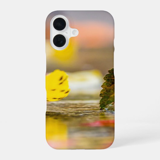 Herbstfarben iPhone 16 Hülle (Rückseite)