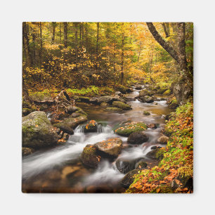 Herbstfarben Jefferson Brook White Mountains Magnet