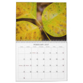 Herbstfarben Kalender (Feb 2027)
