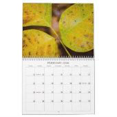 Herbstfarben Kalender (Feb 2026)