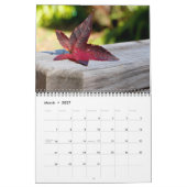 Herbstfarben Kalender (Mär 2027)