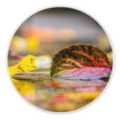 Herbstfarben Keramikknauf (Vorderseite)