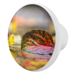 Herbstfarben Keramikknauf