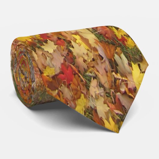 Herbstfarben Krawatte (Gerollt)