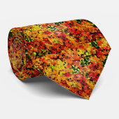Herbstfarben Krawatte (Gerollt)