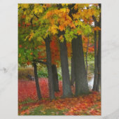 Herbstfarben-kundenspezifisches Hochzeits-Menü Menükarte (Rückseite)