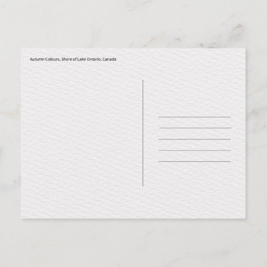 Herbstfarben, Küste des Ontario-Sees, Kanada Postkarte (Rückseite)