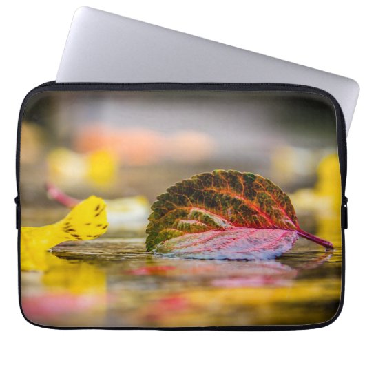 Herbstfarben Laptopschutzhülle (Vorderseite)