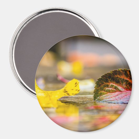 Herbstfarben Magnet (Vorderseite/Rückseite)