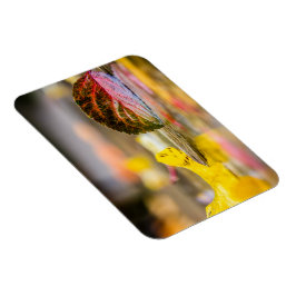 Herbstfarben Magnet