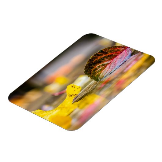 Herbstfarben Magnet (Linke Seite)
