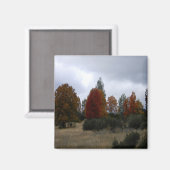 Herbstfarben...... Magnet (Vorderseite/Rückseite)