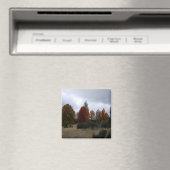 Herbstfarben...... Magnet (In Situ (Geschirrspüler))