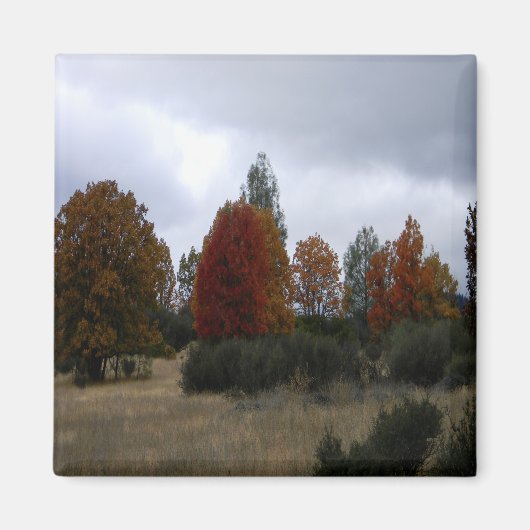 Herbstfarben...... Magnet (Vorne)